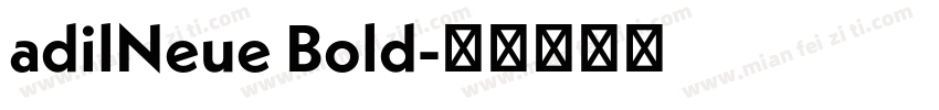 adilNeue Bold字体转换